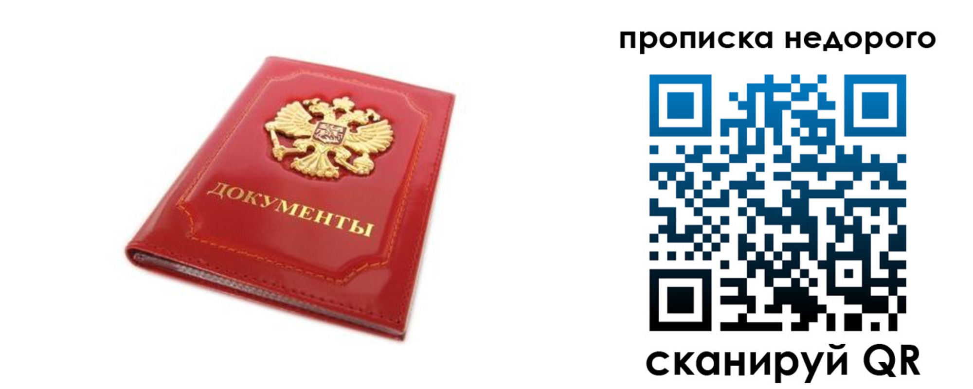где прописаться в Покрове